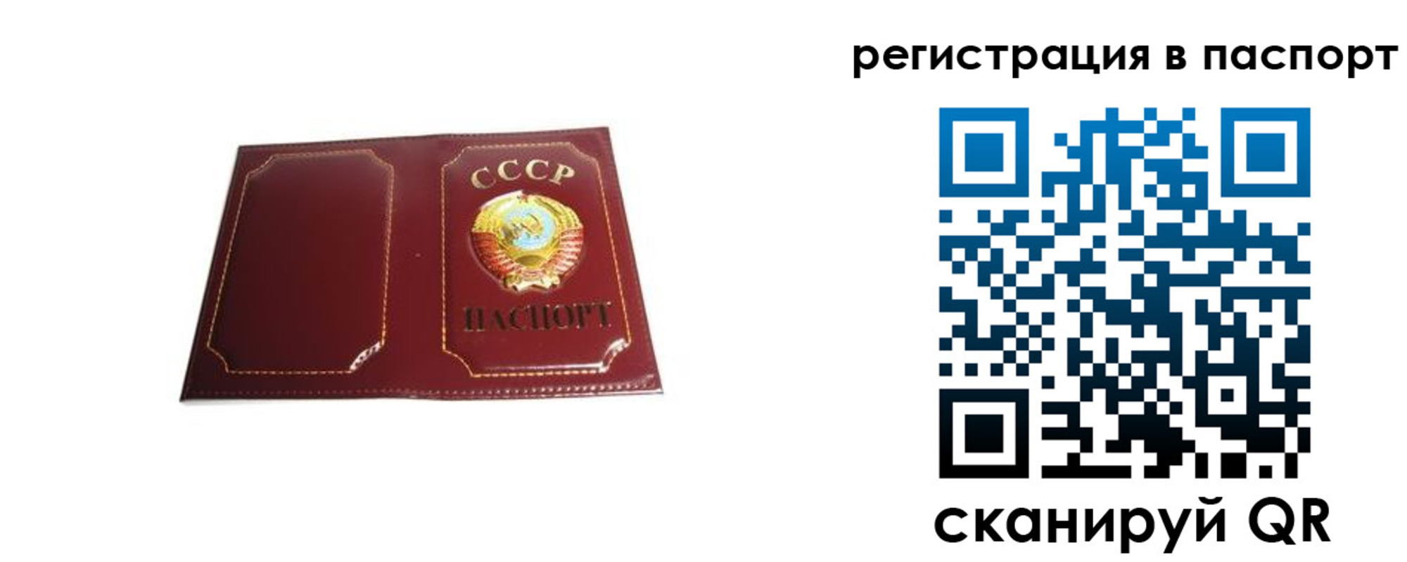 прописка 2025 в Балашове